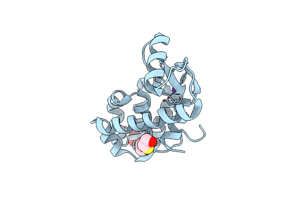 1P2L image