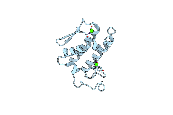 1P2P image