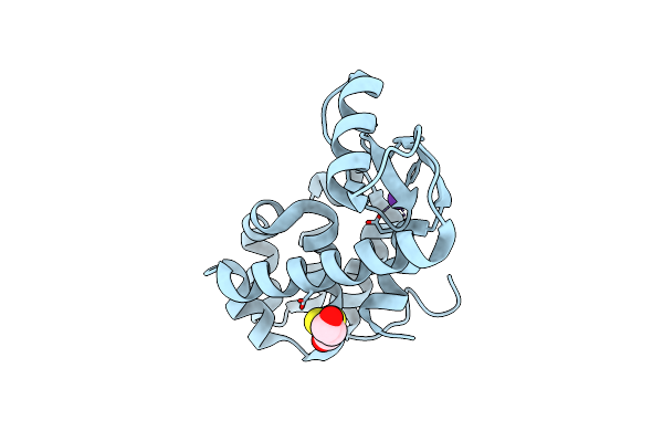 1P2R image