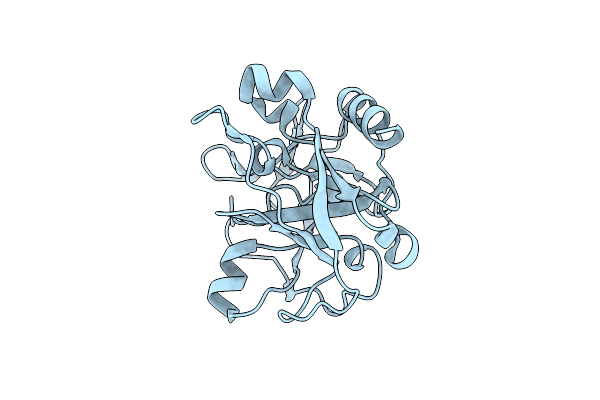 1P3C image