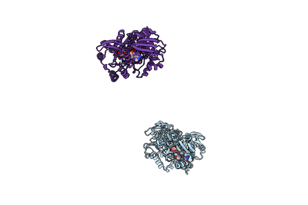 1P3D image