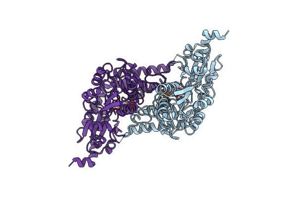 1P3W image
