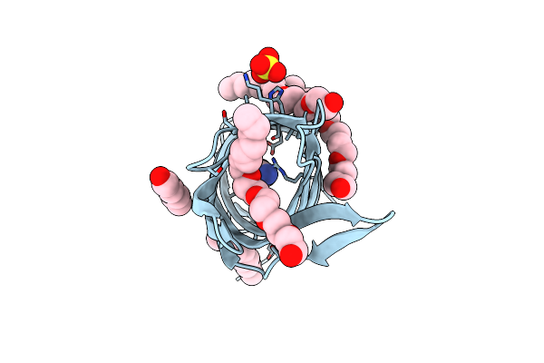 1P4T image