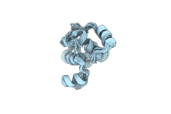 1P4W image