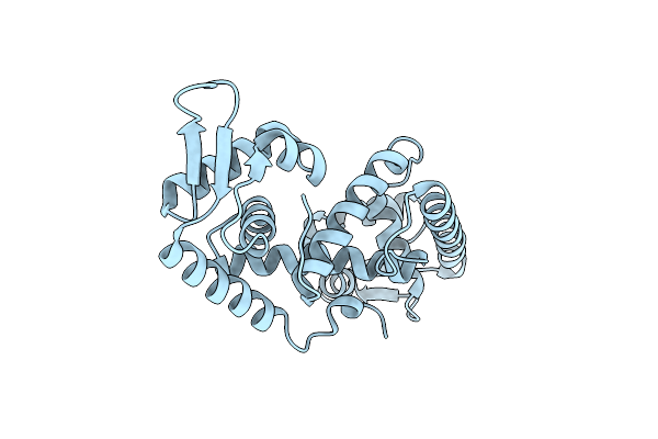 1P4X image