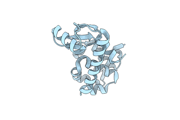 1P56 image