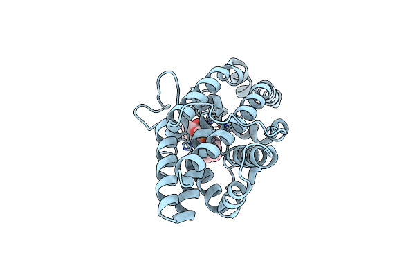 1P6D image