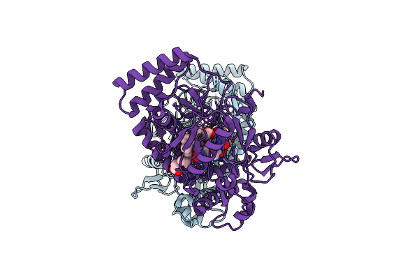 1P6H image
