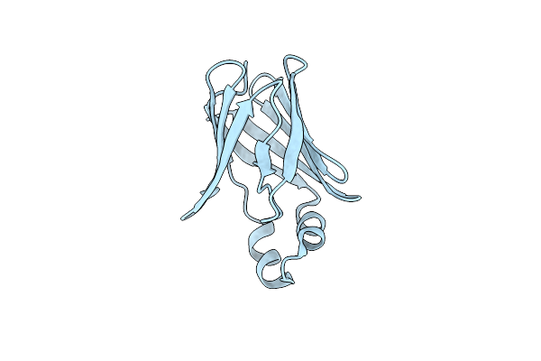 1P6P image