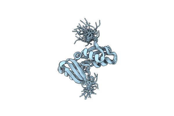 1P6T image
