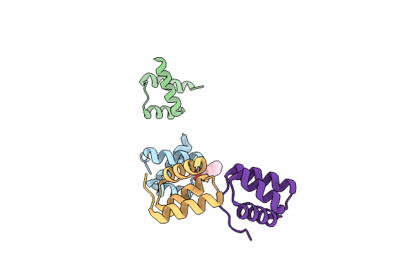 1P7I image