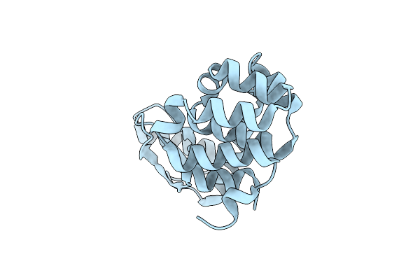 1P7S image
