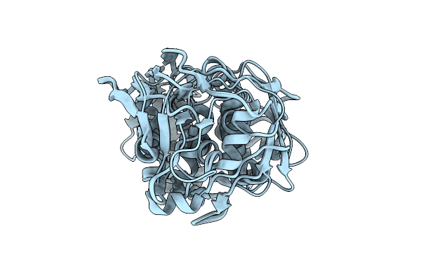 1P88 image