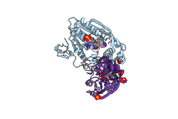 1P91 image