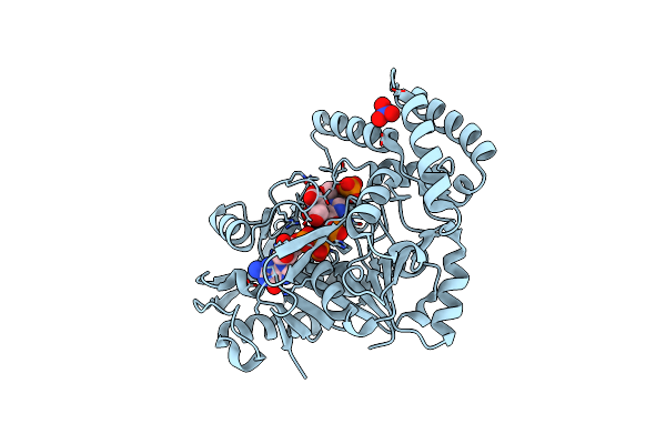 1P9B image