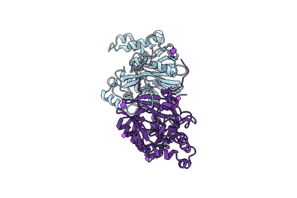 1P9E image