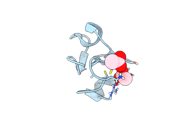 1P9G image