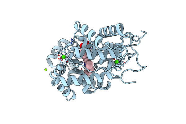 1PA2 image