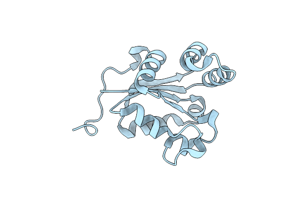 1PAE image