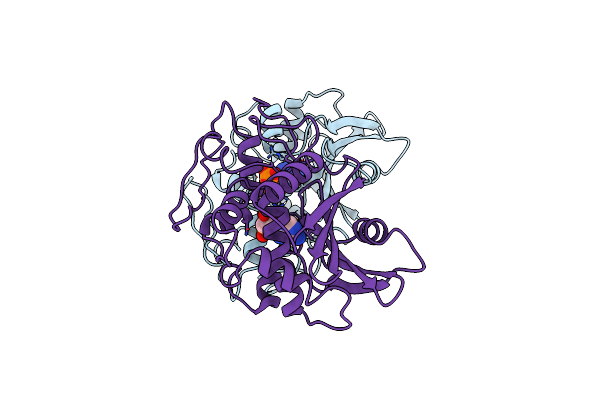1PAG image