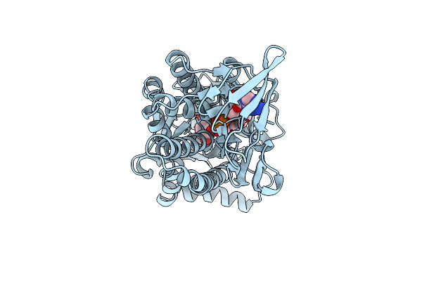 1PBB image