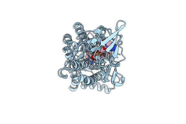 1PBC image
