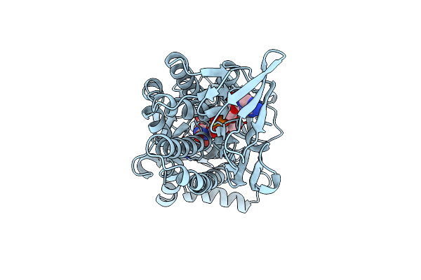 1PBE image