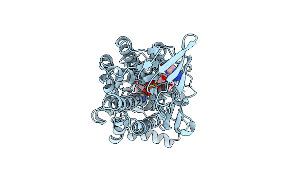 1PBF image
