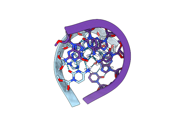 1PBL image
