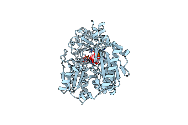 1PCJ image