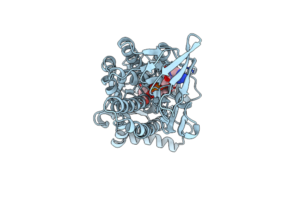 1PDH image
