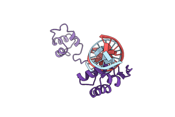 1PDN image