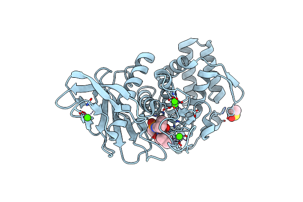 1PE8 image