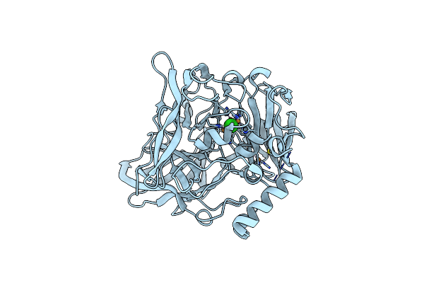 1PF3 image