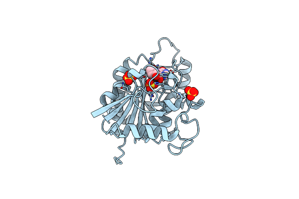 1PF7 image