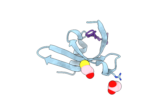 1PFB image