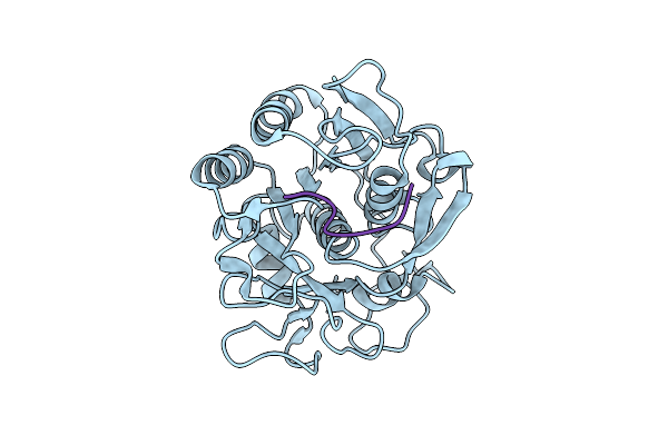 1PFG image