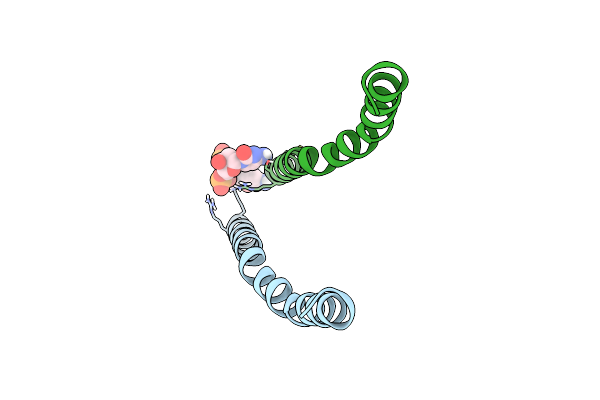 1PFI image