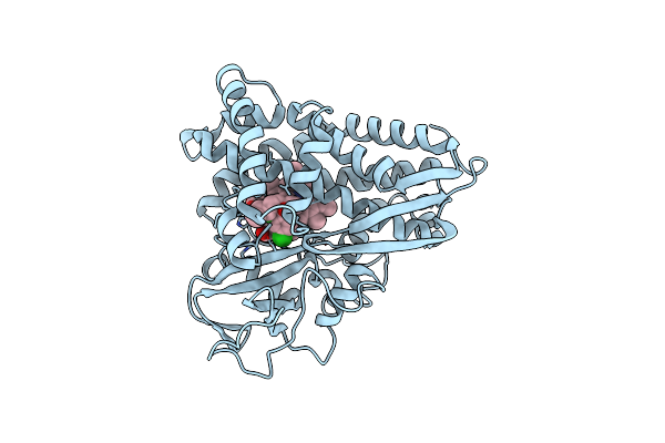 1PHB image