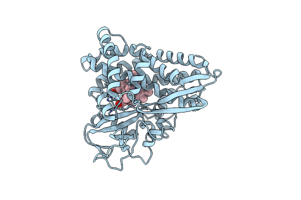 1PHD image