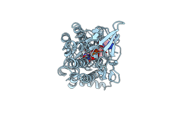 1PHH image