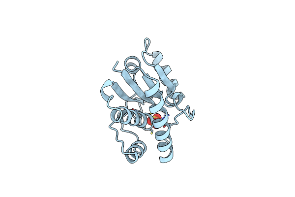 1PHR image