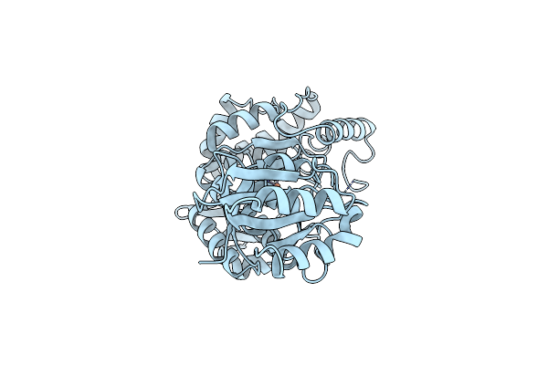 1PHZ image