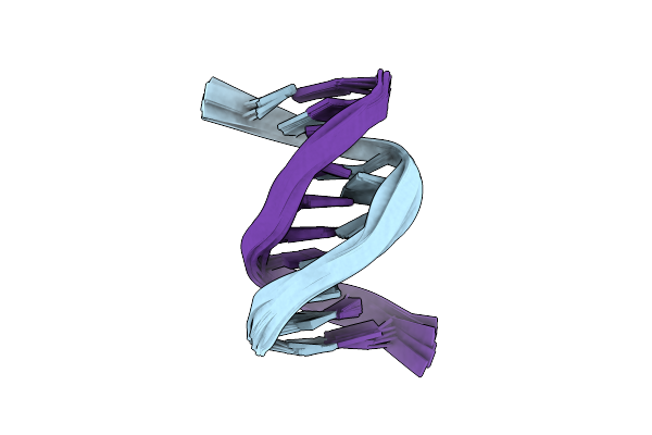 1PIB image