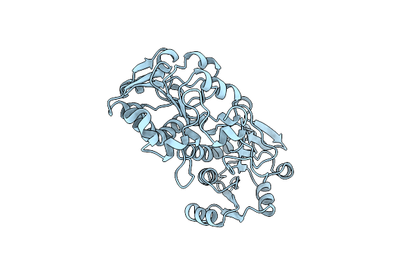 1PJB image