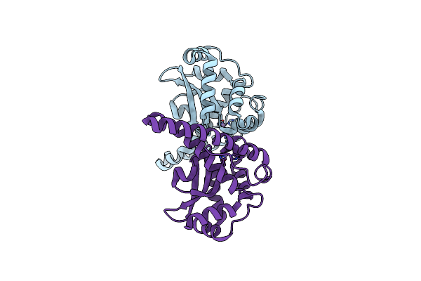 1PM9 image