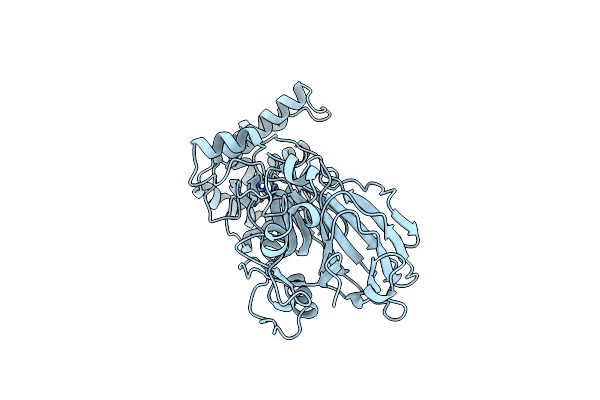 1PMI image