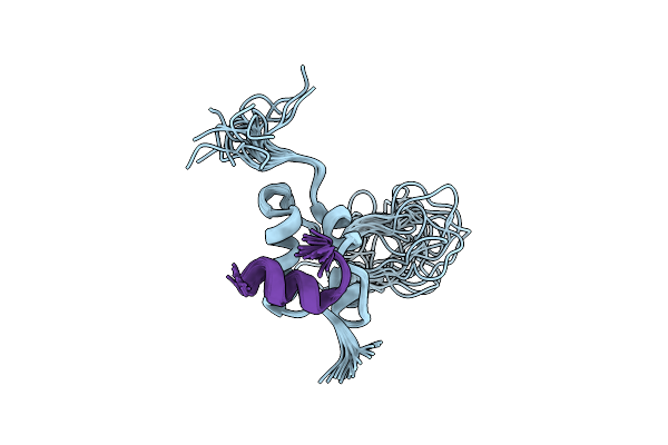 1PMX image