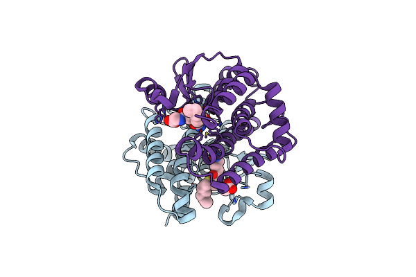 1PN9 image