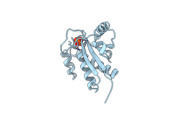 1PNT image